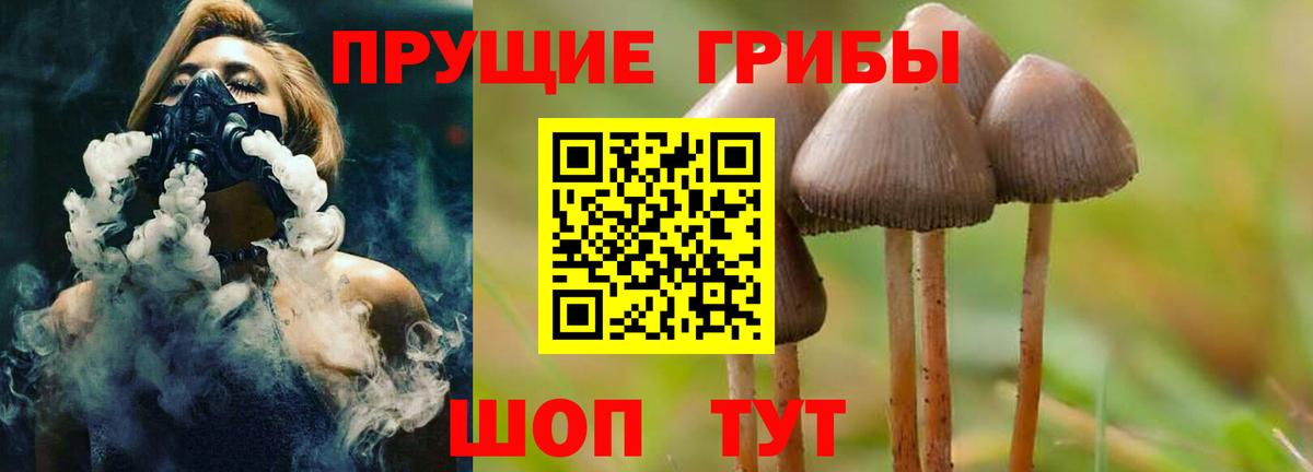 Сафоново  Псилоцибиновые грибы Psilocybe  Вход с VPN  Псилоцибиновые грибы мухоморы 