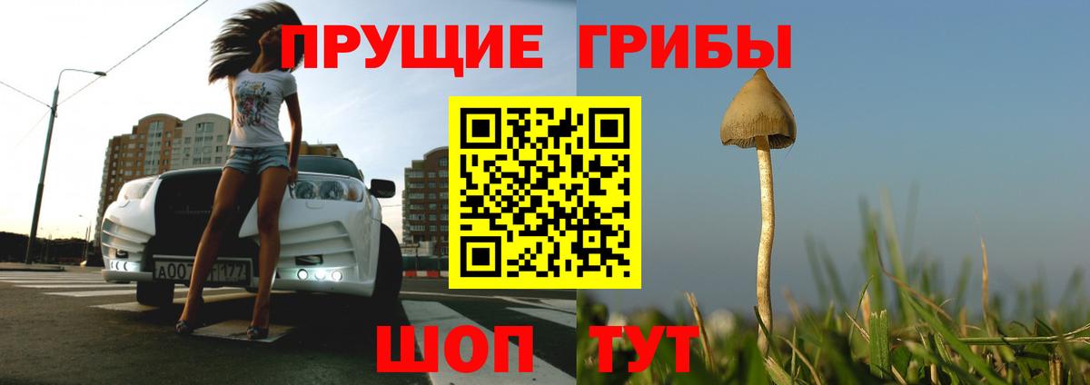 Галлюциногенные грибы мицелий Сафоново